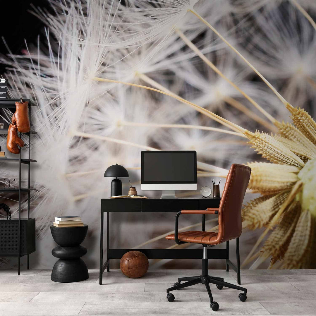 Fototapetes - Pūkainas pienenes zieds uz melna fona tuvplānā, 60151 G-ART