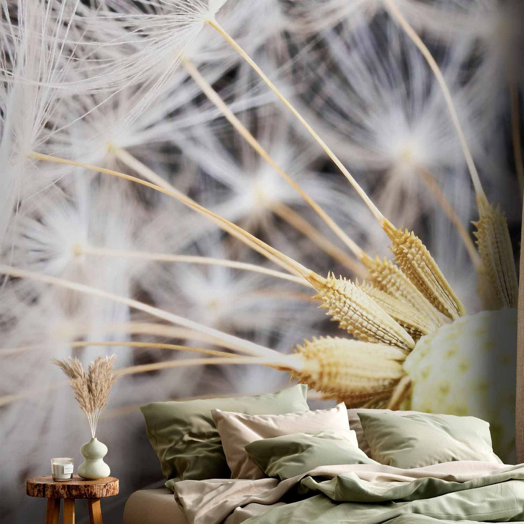 Fototapetes - Pūkainas pienenes zieds uz melna fona tuvplānā, 60151 G-ART