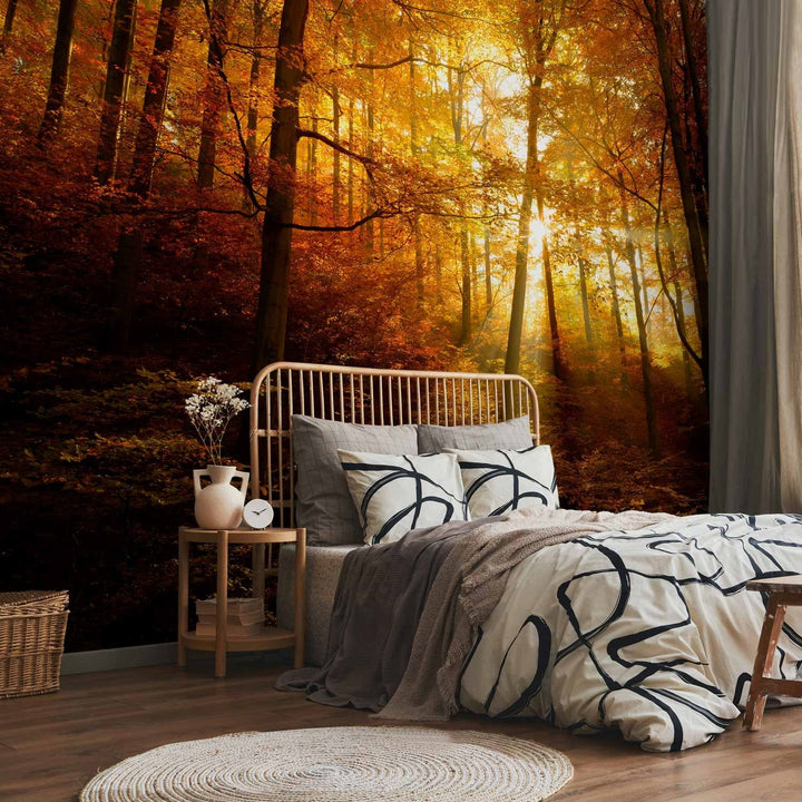 Rudens fototapetes  - koki ar dzeltenām lapām saules gaismā, 92061  G-ART