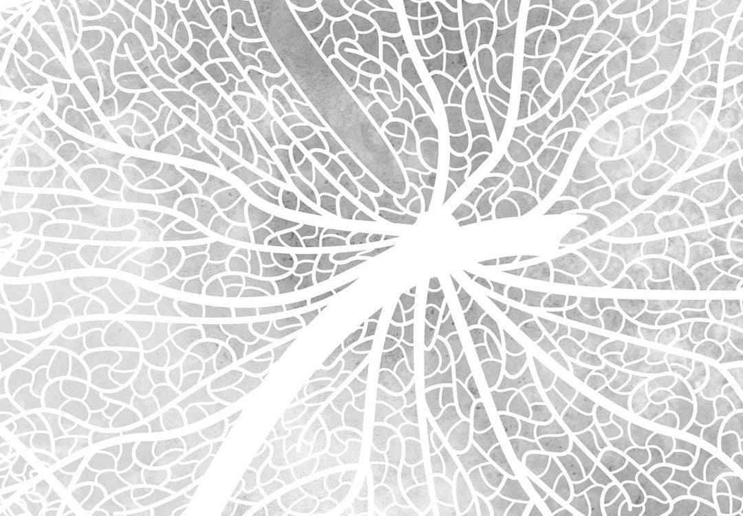 Fototapetes - Rudens daba pelēkos toņos - 138619 G-ART