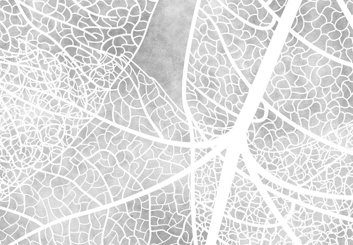 Fototapetes - Rudens daba pelēkos toņos - 138619 G-ART