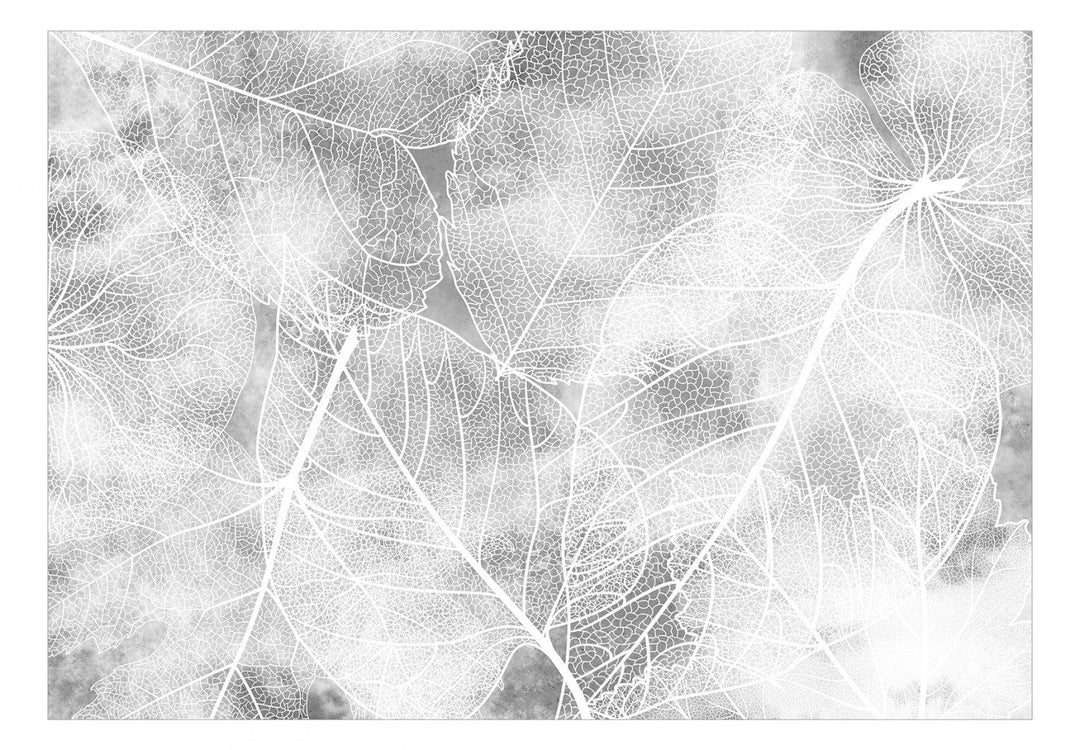 Fototapetes - Rudens daba pelēkos toņos - 138619 G-ART