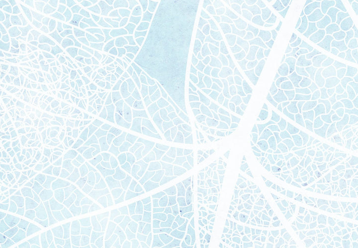 Fototapetes - Rudens daba zilā un baltā krāsā - 138617 G-ART