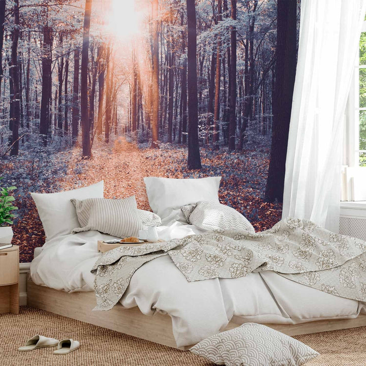 Dabas fototapetes ar mežu - Saules stari, 64599 - 350x256 cm G-ART