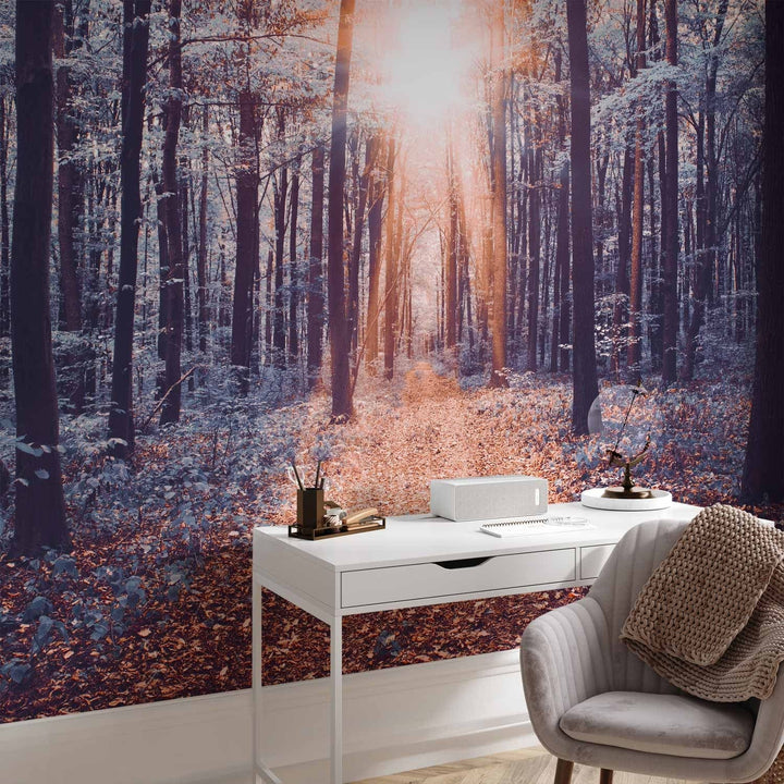 Dabas fototapetes ar mežu - Saules stari, 64599 - 350x256 cm G-ART