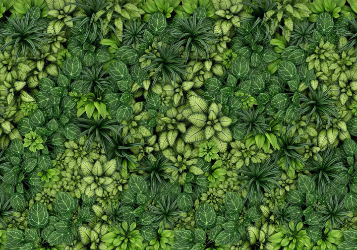 Fototapetes - Siena ar lapām sulīgi zaļa krāsā, 135676 G-ART