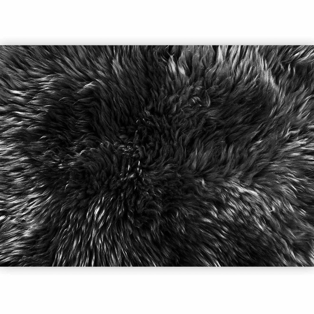 Fototapetes ar aitādas vilnas imitāciju melnā krāsā G-ART
