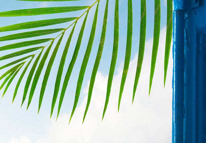 Fototapetes - Skats uz okeānu, atvērti logi ar skatu uz palmām G-ART