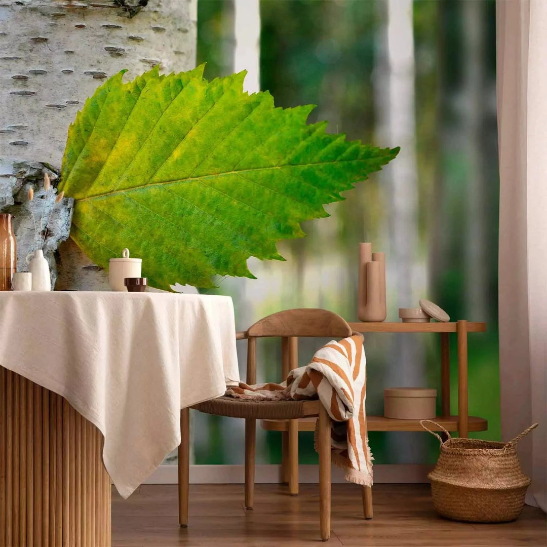 Fototapetes - Spilgta meža ainava ar bērzu un saules stariem G-ART