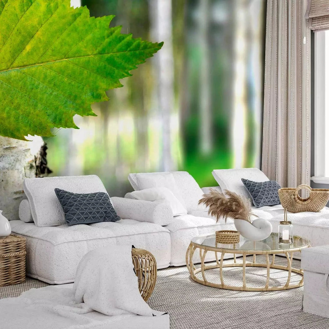 Fototapetes - Spilgta meža ainava ar bērzu un saules stariem G-ART