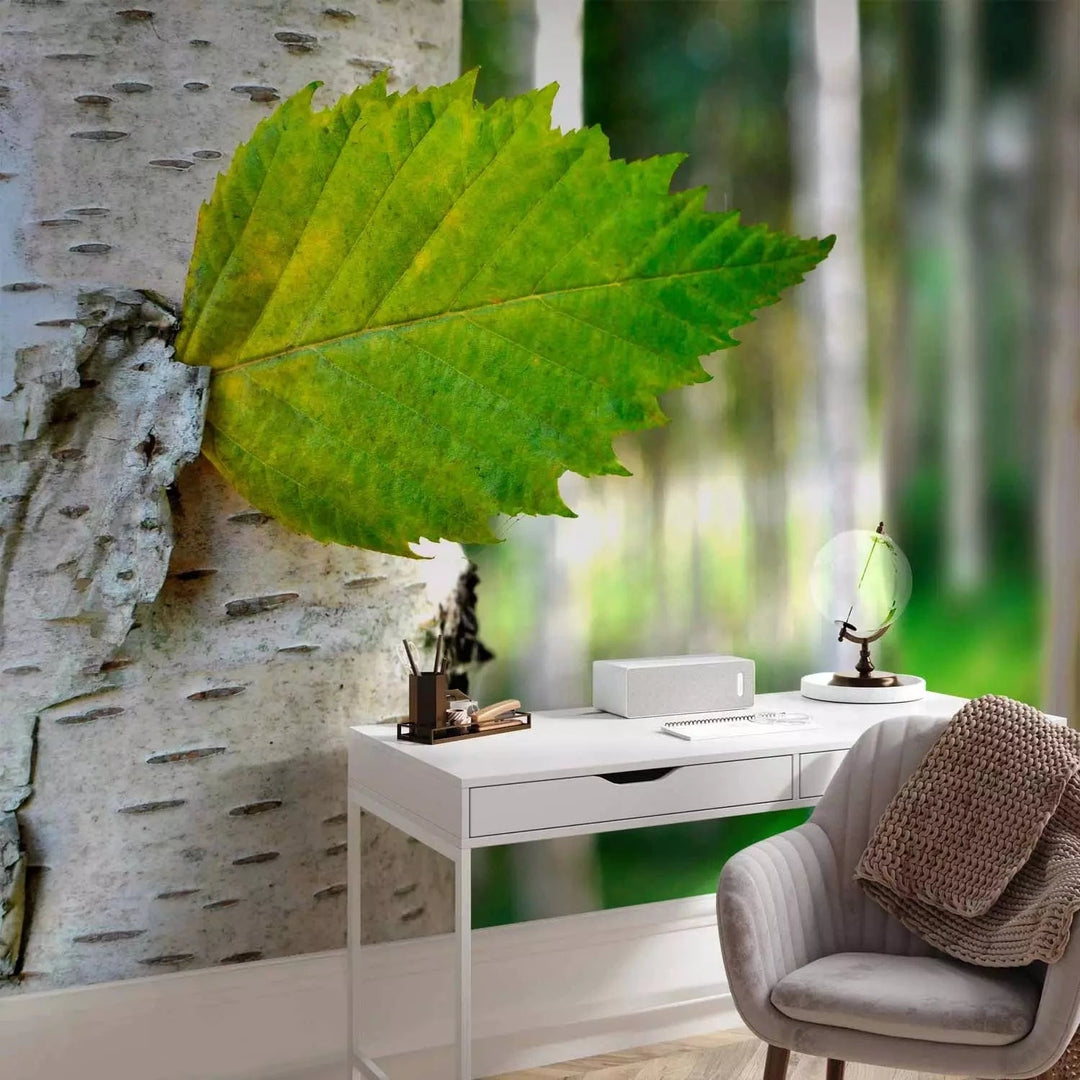 Fototapetes - Spilgta meža ainava ar bērzu un saules stariem G-ART