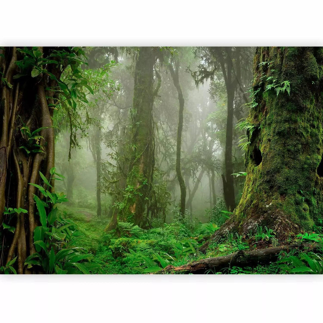 Fototapetes guļamistabai - Tropu mežs ar zaļumiem un miglu - 150970 G-ART