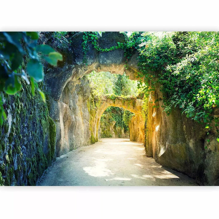 Fototapetes - akmens tuneļa ainava, ko ieskauj lapas Tapetenshop.lv
