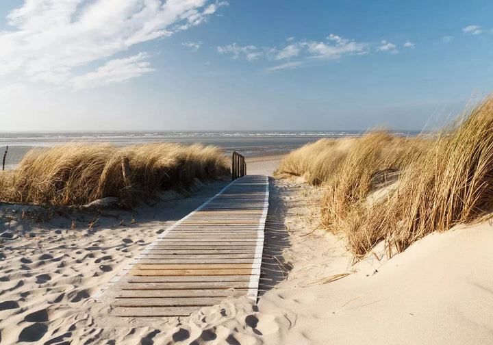 Fototapetes ar jūras skatu - Vientuļā pludmale - 123326 G-ART