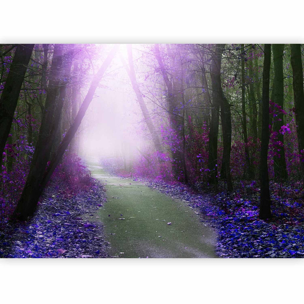 Fototapetes - Ainava ar ceļu, kas ved cauri mežam ar kokiem, 61858  G-ART