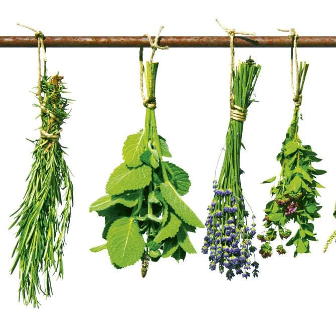 Pašlīmējošas fototapetes virtuvei - Garšaugi  (180x60 cm) Art4home