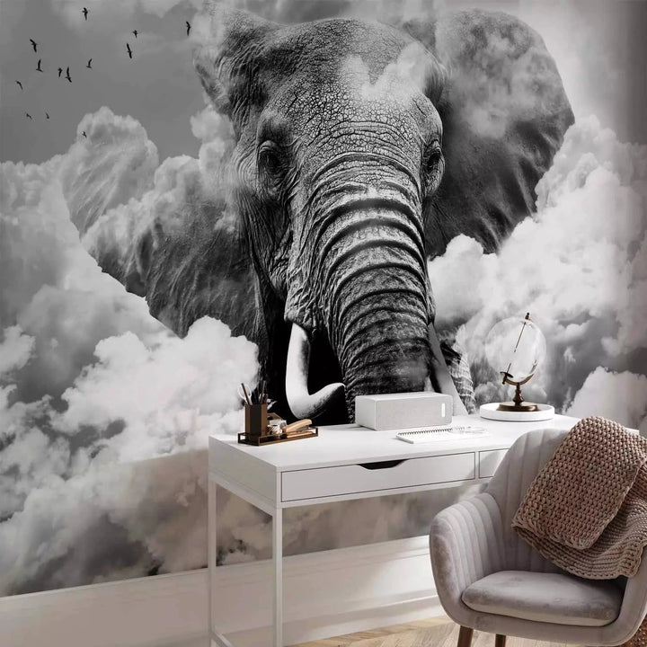 Fototapetes - Āfrikas zilonis debesīs starp mākoņiem ar putniem G-ART