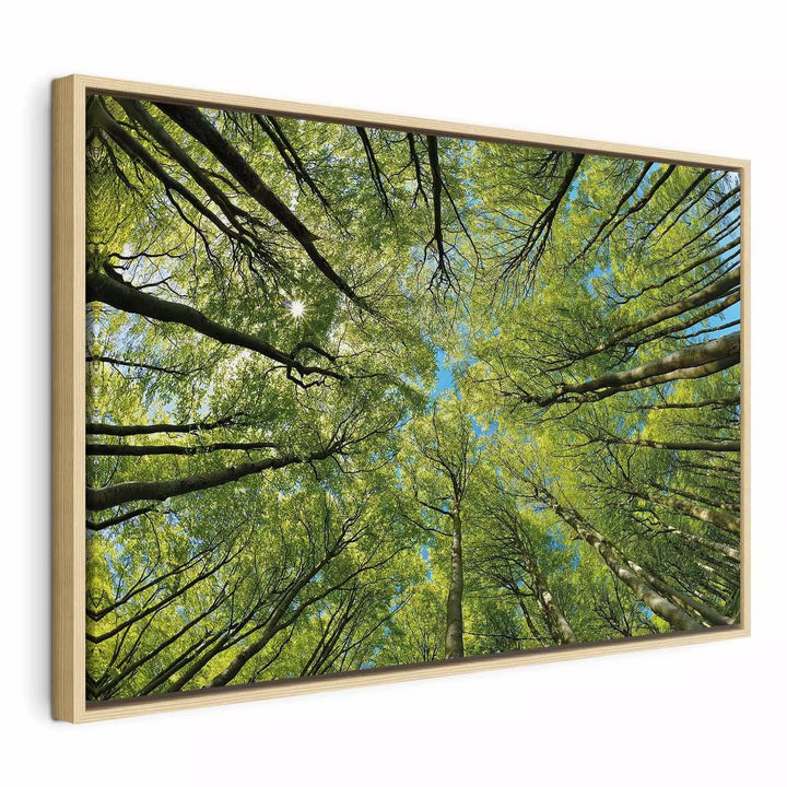 Glezna koka rāmī (dabīgā krāsā) - skats uz koku galotnēm, ekoloģiska G ART