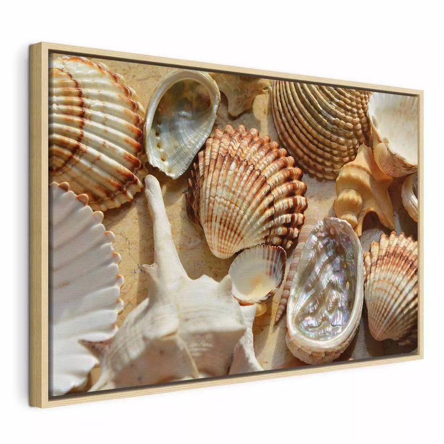 Glezna koka rāmī dabīga krāsā - Gliemežvāku kolekcija, 162560 G ART