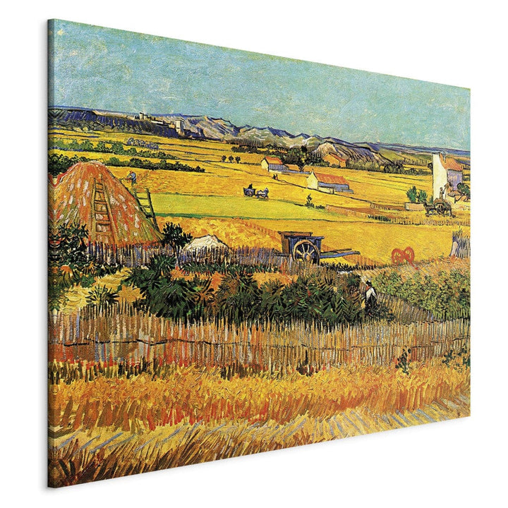 Gleznas reprodukcija /Vinsents van Gogs/ - Raža II G ART