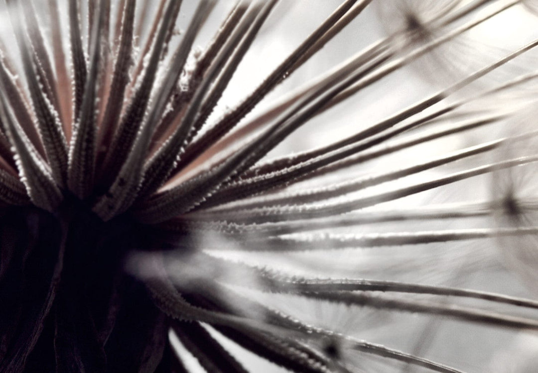 Gleznu komplekts ar pienenēm - Maigs aromāts (x 4) - 118436 G-ART.