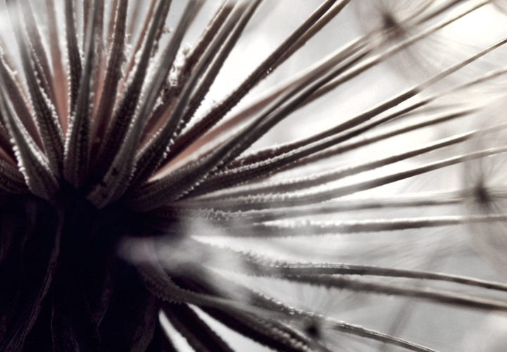 Gleznu komplekts ar pienenēm - Maigs aromāts (x 4) - 118436 G-ART.