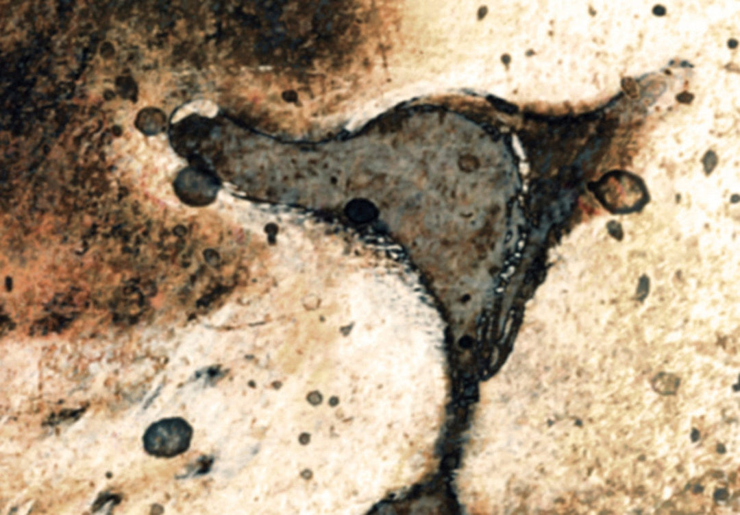 Glezna ar lauvu - Atmiņa par karali, 92263 (x5) G-ART