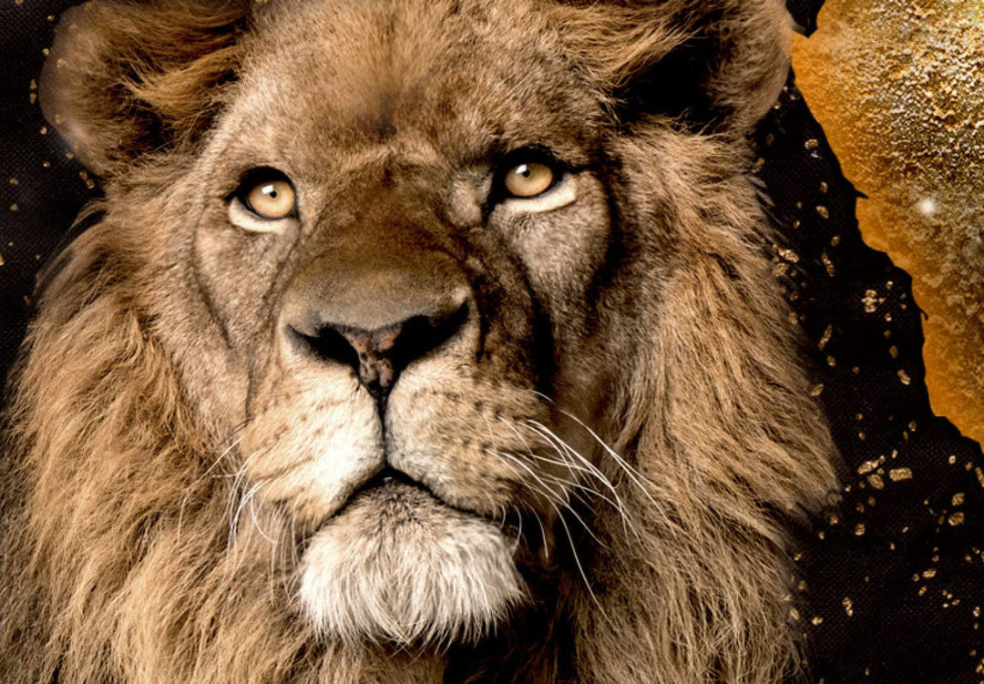 Glezna ar lauvu uz tumši brūna fona - Zelta lauvu, (x 5), 50001 G-ART