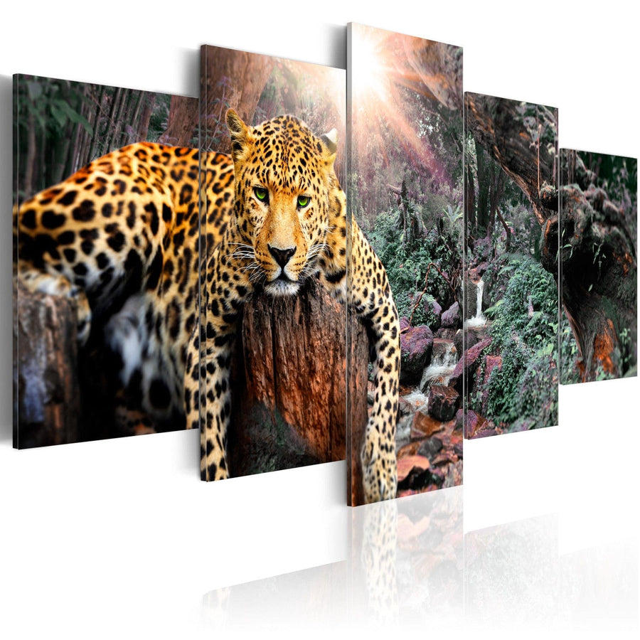 Glezna ar leopardu - Leoparda relaksācija, 92277, (x5) G-ART