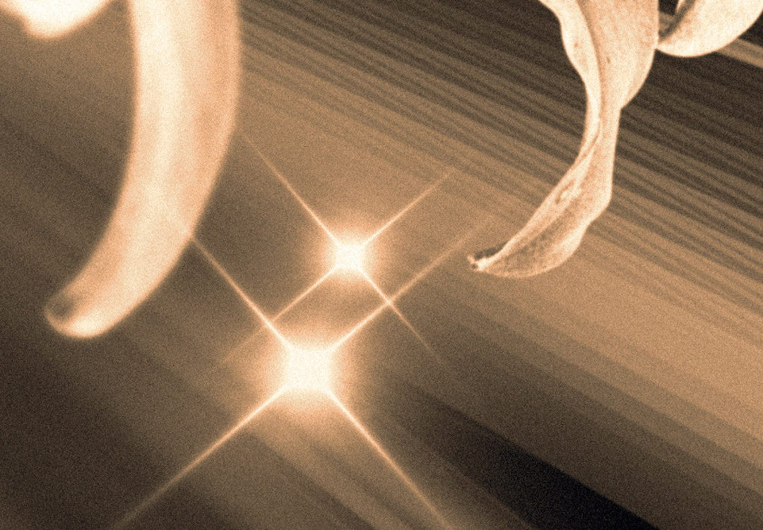 Glezna ar lilijam brūnos toņos - Atmiņu pušķis, 90609 (x5) G-ART