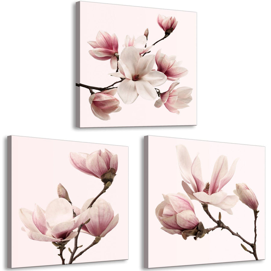 Glezna ar magnoliju uz rozā fona, (x 3), 122780 G-ART