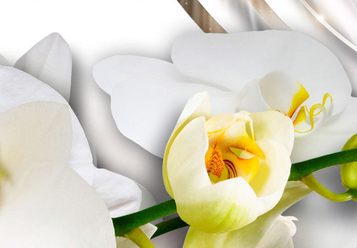 Glezna ar orhidejām un dimantiem uz abstrakta fona, pelēkā, 62434 G-ART