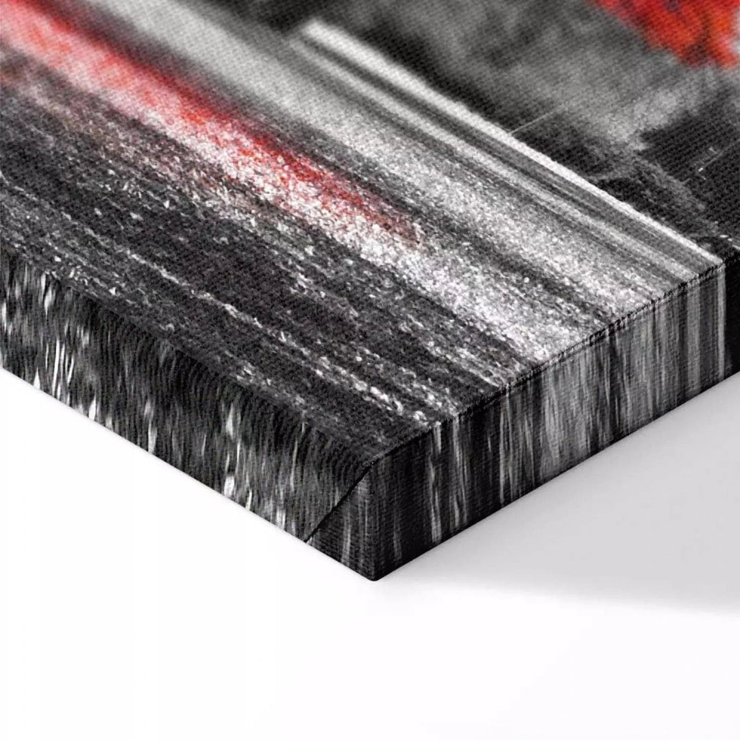 Kanva ar rudens skatu - Rudens parkā, (x 1), sarkanā un pelēkā G-ART