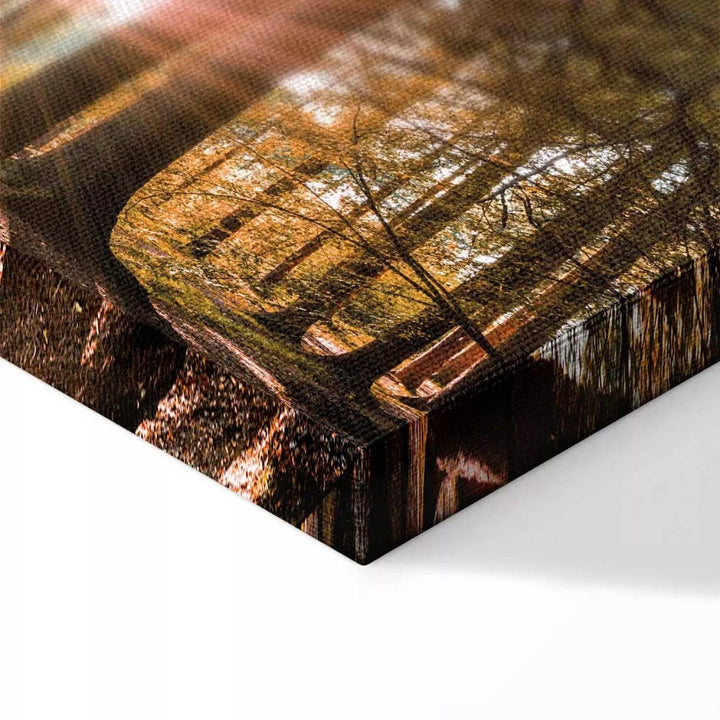 Kanva ar saulainu mežu - Mazie dabas brīnumi, (x 1), zaļā krāsā G-ART