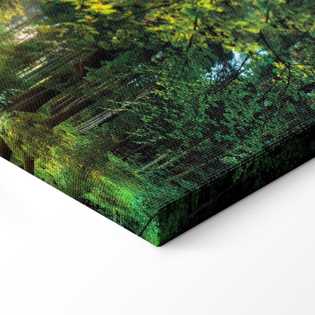 Glezna ar saulainu mežu - Meža patversme, (x1), 91569 G-ART.