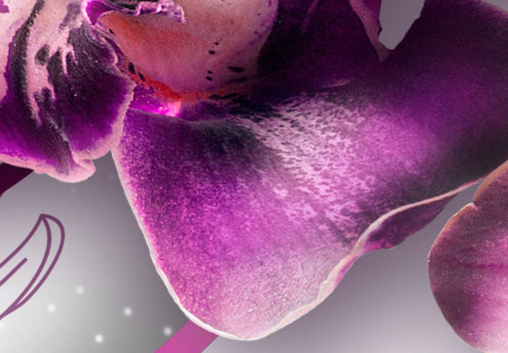 Glezna ar violetam orhidejām uz abstrakta pelēka fona, (x5), 56203 G-ART