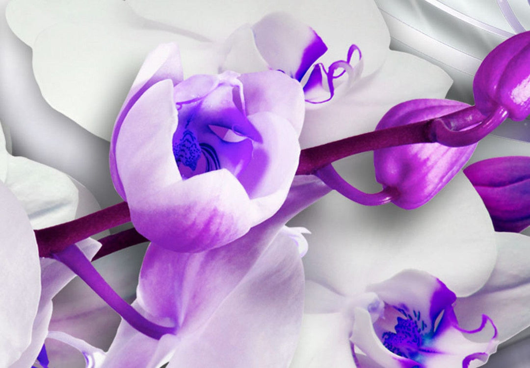 Glezna – baltas orhidejas ar violetiem akcentiem - Orhidejas vēsums G-ART