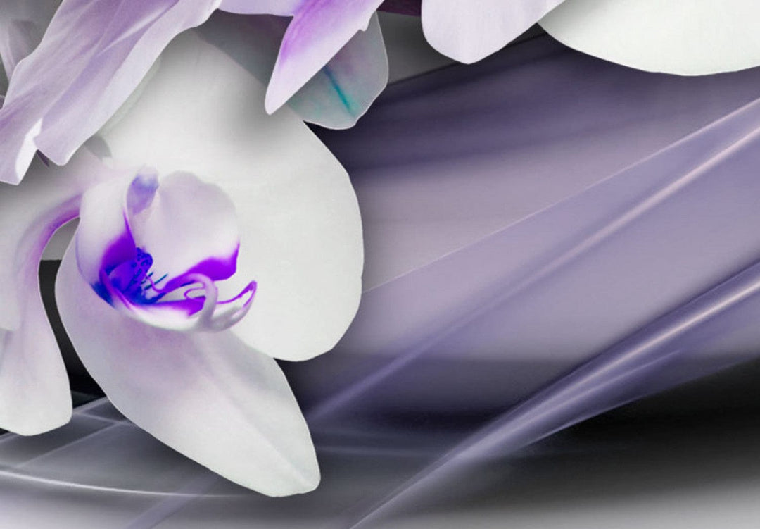 Glezna – baltas orhidejas ar violetiem akcentiem - Orhidejas vēsums G-ART