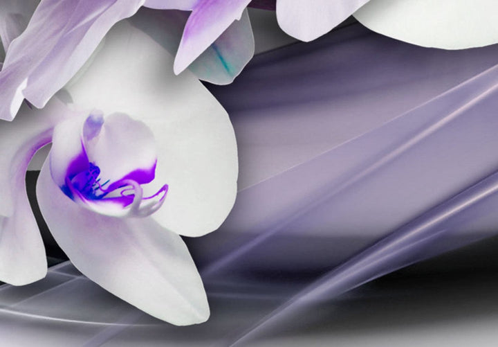 Glezna – baltas orhidejas ar violetiem akcentiem - Orhidejas vēsums G-ART