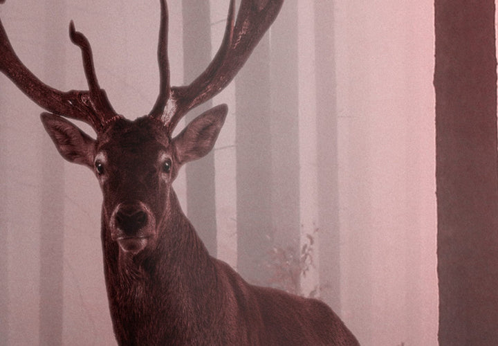 Glezna - Briedis mežā, (x 5), rozā krāsā, 118927 G-ART