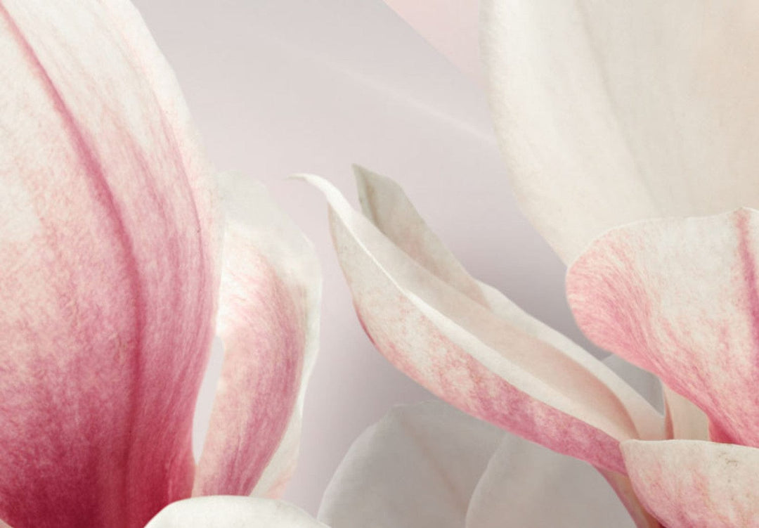 Glezna ar magnoliju rozā un pelēkā krāsā - Magnolijas ziedēšanas laikā G-ART