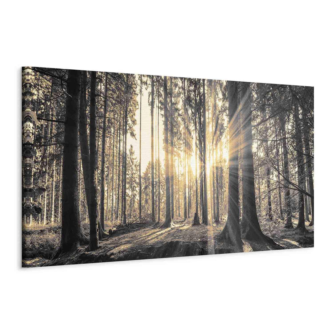 Glezna ar saulainu mežu - dabas dekors viesistabā - uz audekla G-ART.