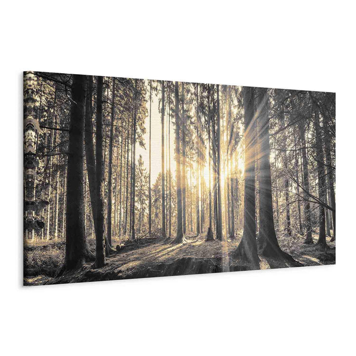 Glezna ar saulainu mežu - dabas dekors viesistabā - uz audekla G-ART.
