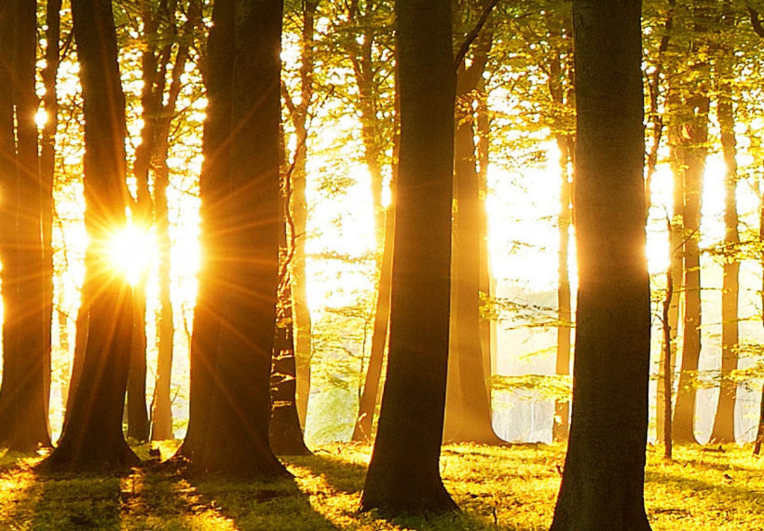 Glezna ar krāsainiem dūmiem zilā un tirkīzā krāsā G-ART