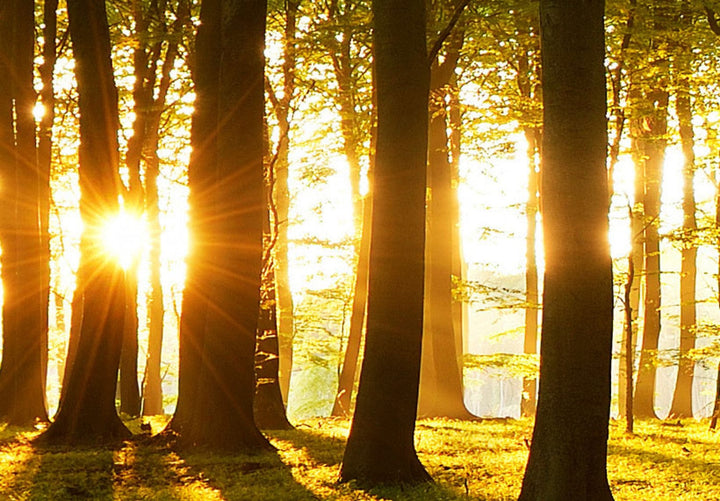 Glezna ar krāsainiem dūmiem zilā un tirkīzā krāsā G-ART