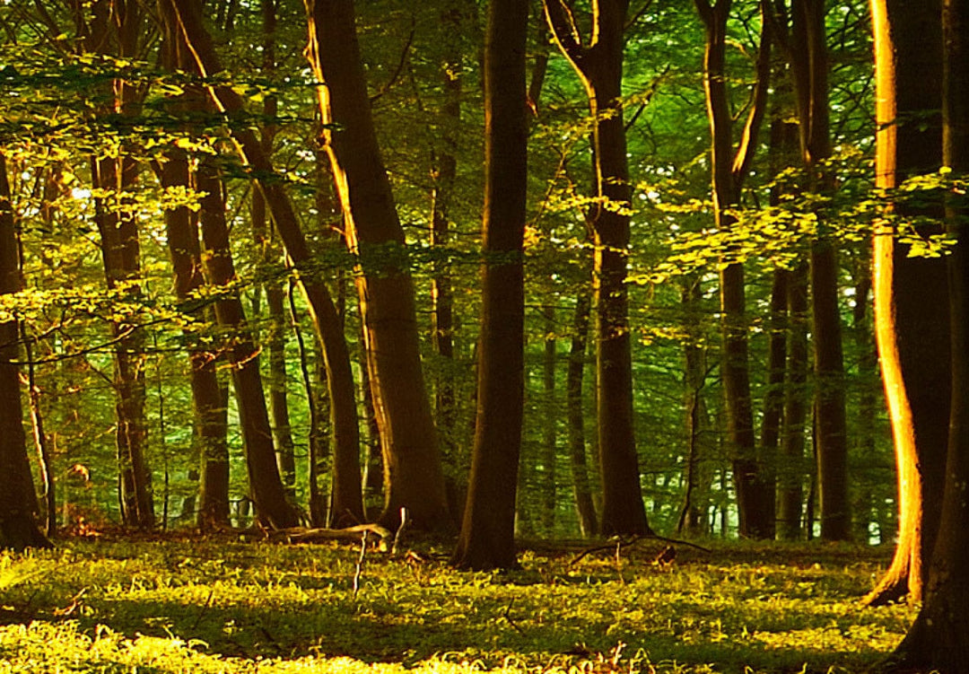 Glezna ar krāsainiem dūmiem zilā un tirkīzā krāsā G-ART