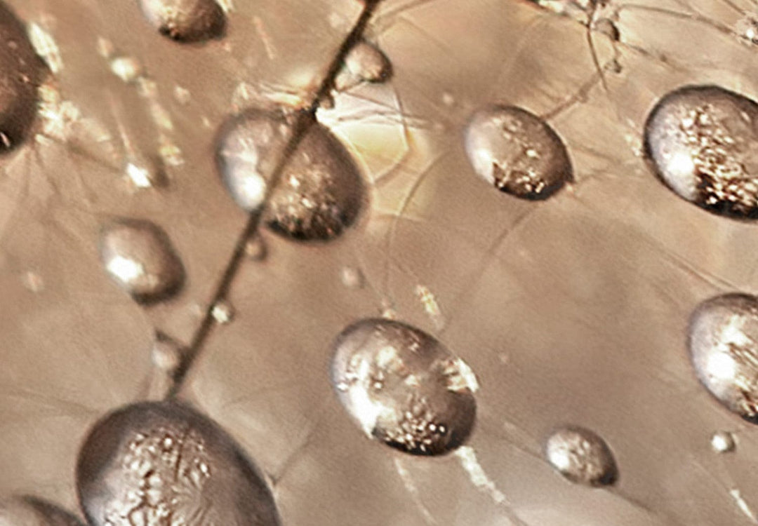 Glezna - Pienenes sepijas krāsā - maigi ziedi dārzā ar rasu, 144517 G-ART