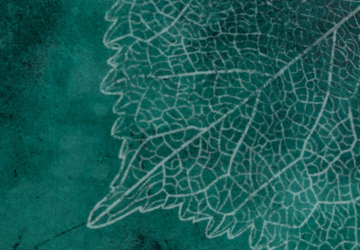 Glezna ar lapām - rudens lapas uz tumši zaļa fona, 151424 G-ART