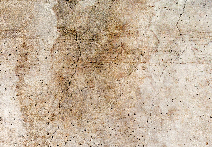 Glezna - Rūsas tekstūra - abstrakcija pasteļbrūnos toņos - 151427 G-ART