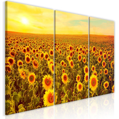 Glezna Saulespuķes saulrietā, 124359  (x 3) Tapetenshop.lv.
